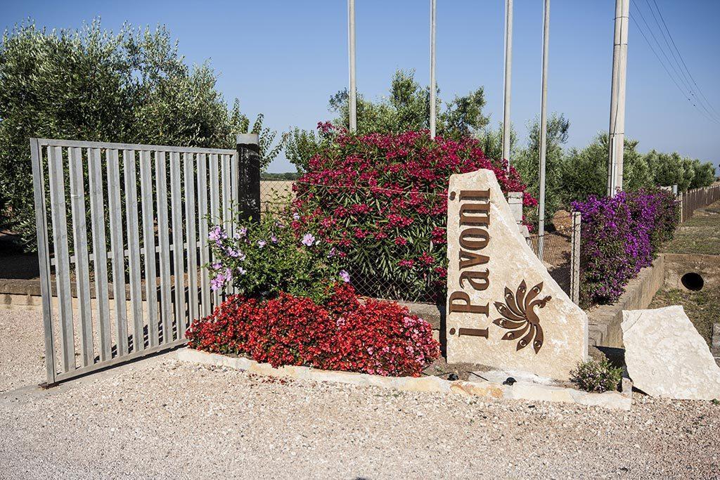 Agrimare I Pavoni Apartment *