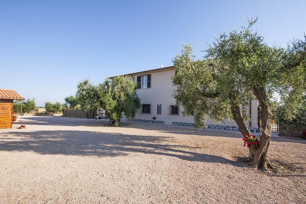 Apartment Agrimare I Pavoni *