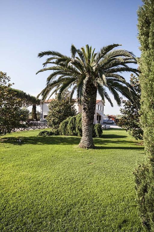 Apartment Agrimare I Pavoni *