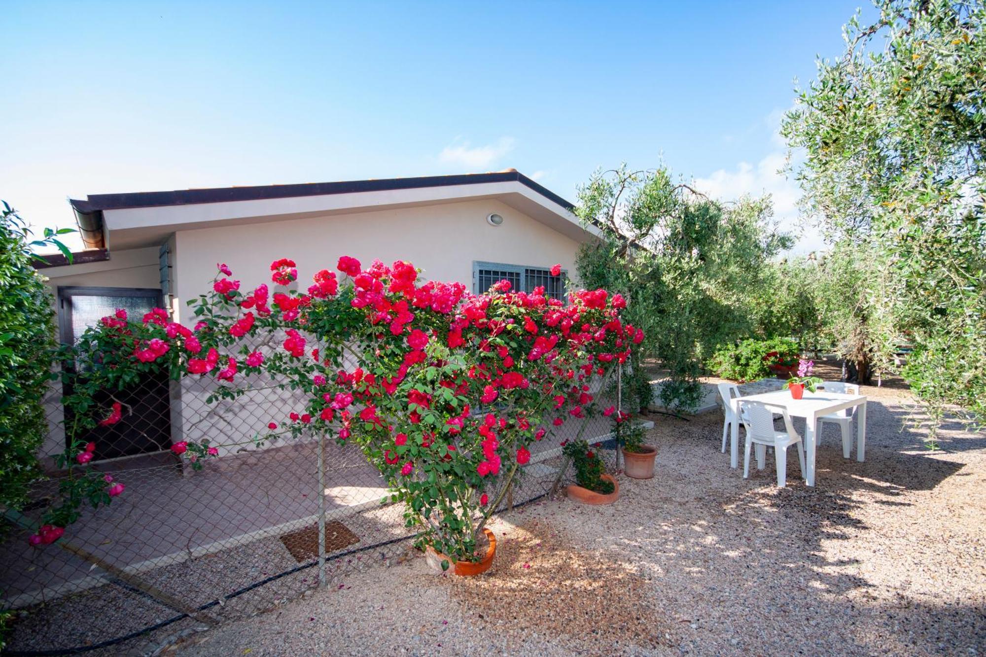 Apartment Agrimare I Pavoni *